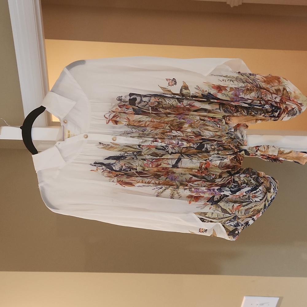Ladies top
